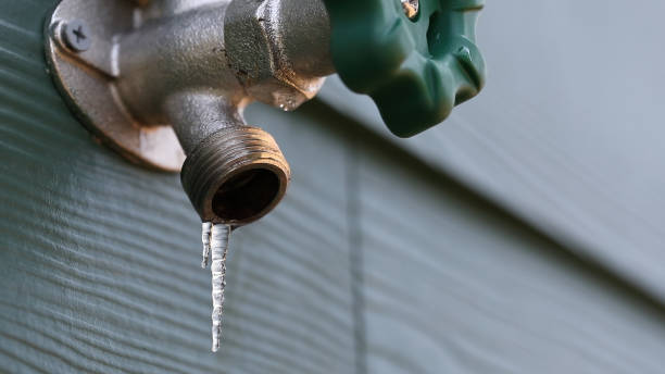 Best Sewer Line Repair  in Colorado City, AZ
